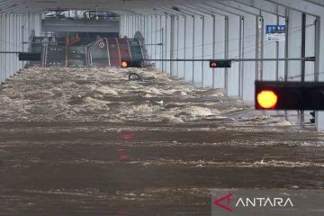 Hujan deras berkurang di Seoul di tengah kerusakan akibat banjir