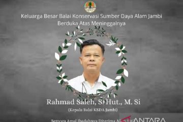 Kepala BKSDA Jambi meninggal dunia