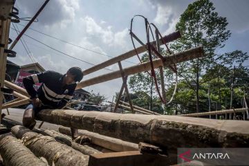 Jelang Hari Kemerdekaan, pedagang pohon pinang mulai menjamur di kawasan Manggarai