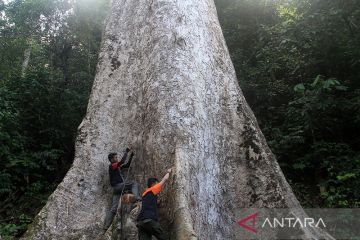 UNDP: Indonesia terdepan manfaatkan dana terpadu guna capai SDGs