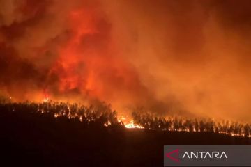 Kebakaran hutan di Prancis meluas, ribuan orang diungsikan