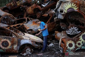 Kebun bunga matahari dari bangkai mobil di Ukraina