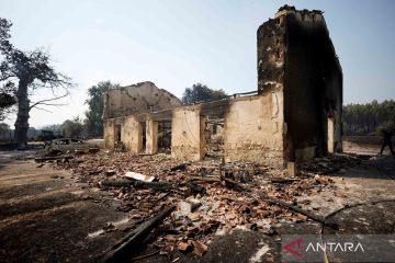 Dampak kebakaran hutan yang semakin meluas di wilayah Gironde, Prancis