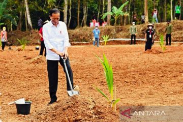 Presiden tegaskan kembali pentingnya jaga pasokan pangan nasional