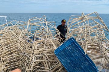 DKP Sulawesi Selatan rehabilitasi ekosistem pulau kecil Takalar