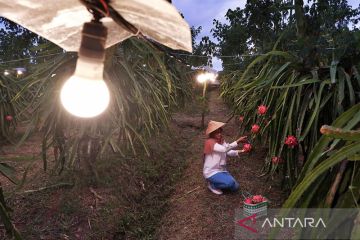 PLN ajak masyarakat migrasi energi minyak ke listrik