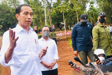 Jokowi: Penugasan perwira aktif TNI di K/L belum mendesak