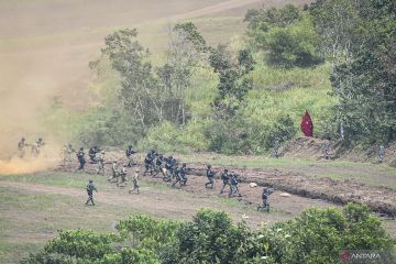 Pengamat apresiasi Jokowi soal penempatan TNI di kementerian