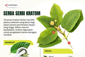 Serba serbi kratom