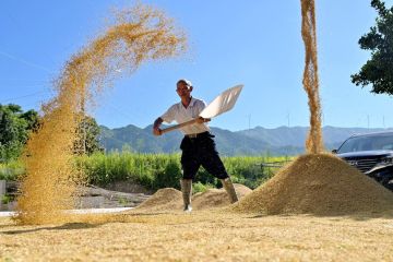 Hunan di China luncurkan tanggap darurat kekeringan akibat suhu tinggi