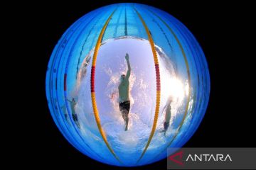 Aksi perenang top dunia di Kejuaraan Akuatik Eropa