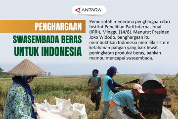 Penghargaan swasembada beras untuk Indonesia