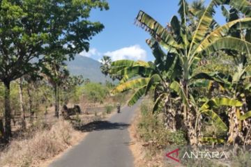 Peneliti BRIN: Teknologi di lahan kering NTB terus dikembangkan.