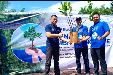 Bluebird sumbang 5.000 bibit mangrove ke Pemerintah Kota Surabaya