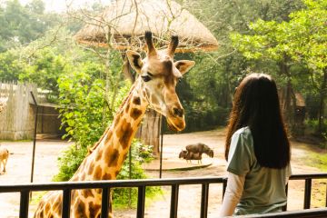 Kebun Binatang Bandung gratiskan tiket masuk saat HUT Ke-77 RI