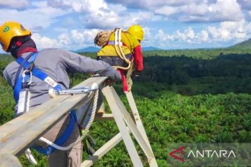 Memerdekakan listrik di Kalimantan Selatan