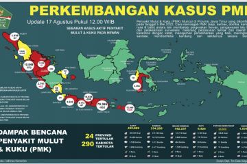 1,5 juta lebih sapi di Indonesia telah divaksin PMK