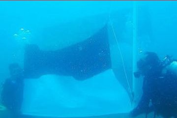 29 penyelam kibarkan merah putih di dasar laut Aceh