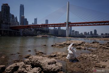Sungai Jialing menyusut dampak dari kekeringan di China