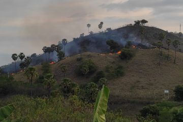 BMKG minta warga waspadai kebakaran hutan di Manggarai Barat