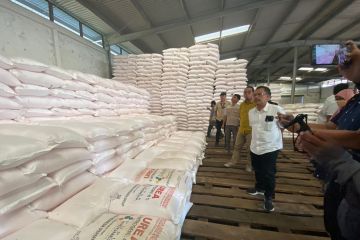 Pupuk Indonesia siapkan 113.856 ton pupuk untuk Jabar-Banten-DKI
