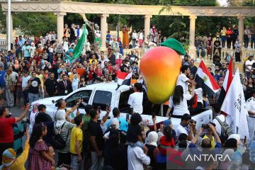 Festival mangga di Mesir