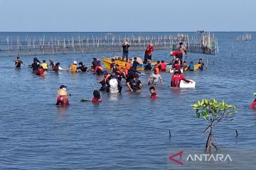 Penggiat tanam 2.000 mangrove di Makassar via Program Hutan Merdeka IV