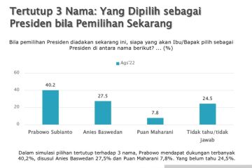 SMRC: Puan dan Airlangga tak kompetitif dalam bursa capres