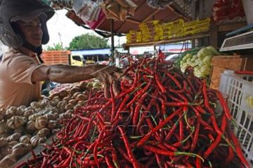Harga Cabai Merah Naik