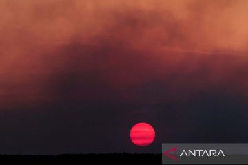 Kebakaran hutan nasional Brasilia