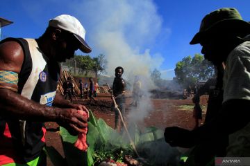 Tradisi bakar batu di Papua