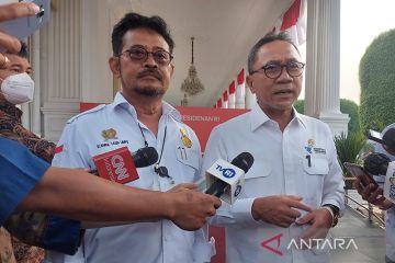 Mendag sebut afkir dini dan program bansos penyebab harga telur naik