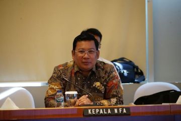 Badan Pangan Nasional akan proteksi komoditas pangan yang surplus