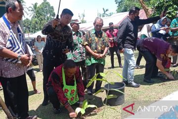 6.000 bibit pisang unggul diberikan bagi poktan di Kabupaten Manokwari