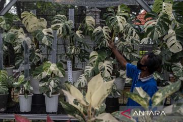 Pameran flora & fauna 2022 di taman Lapangan Banteng