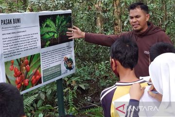 Industri sawit kembangkan sekolah alam di kawasan konservasi