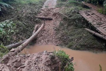 BPBD: Dua jembatan di Aceh Utara putus akibat banjir