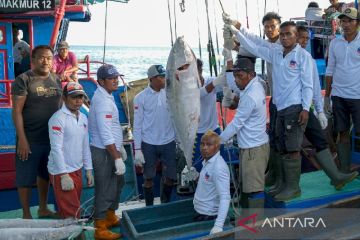 Biak ekspor 1,7 ton ikan tuna segar ke Jepang