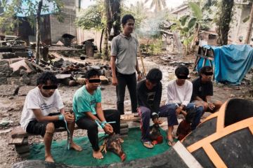 Polres Mamuju Tengah tangkap lima pelaku judi sabung ayam