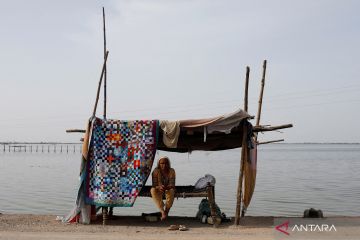 Pengungsi banjir Pakistan