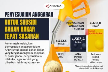 Penyesuaian anggaran untuk subsidi bahan bakar tepat sasaran