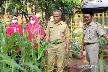 Pemkot Jakarta Utara libatkan PKK sebagai motivator gerakan menanam