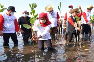 Pemprov Jatim gelar festival mangrove di Pasuruan