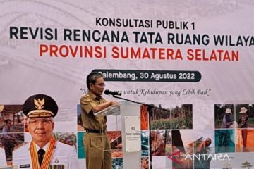 Sumsel gandeng provinsi terdekat revisi Rencana Tata Ruang Wilayah