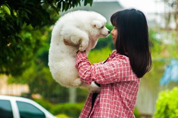 Anjing atau manusia yang lebih banyak menangis saat bertemu?