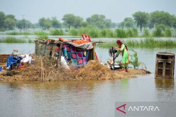 Kerugian akibat banjir di Pakistan diperkirakan Rp149 triliun lebih