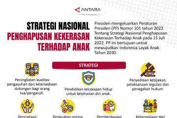 Strategi nasional penghapusan kekerasan terhadap anak