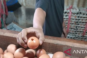 Pembeli di Pasar Kramat Jati beralih ke telur retak imbas harga naik