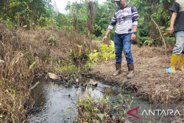 Limbah PT Mitra Ogan diduga cemari kebun warga