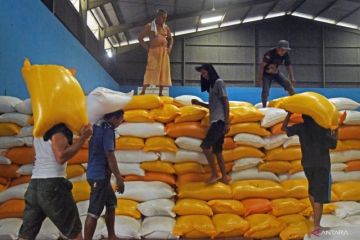 Badan Pangan Nasional: Operasi pasar mampu stabilkan harga beras